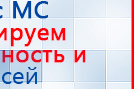 Пояс электрод купить в Иркутске, Электроды Меркурий купить в Иркутске, Скэнар официальный сайт - denasvertebra.ru